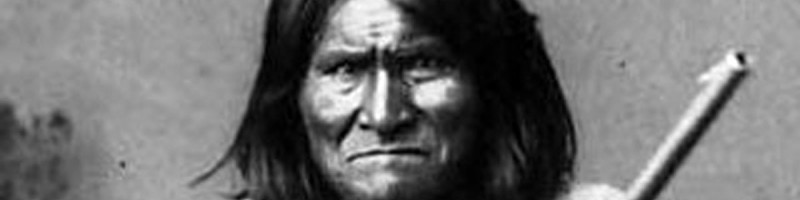 Geronimo: When the last tree...